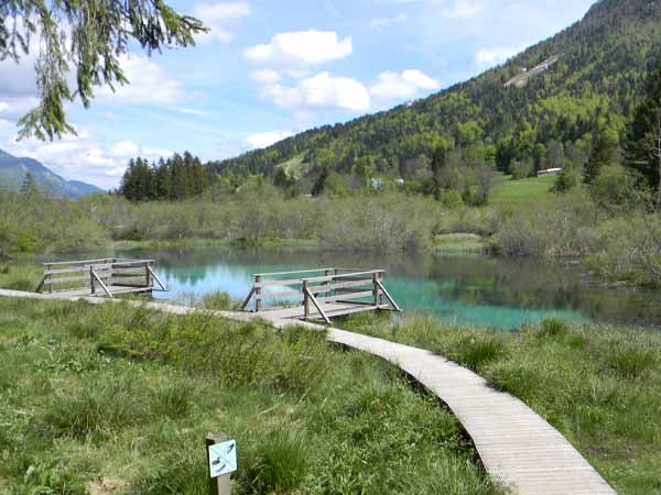 Zelenci