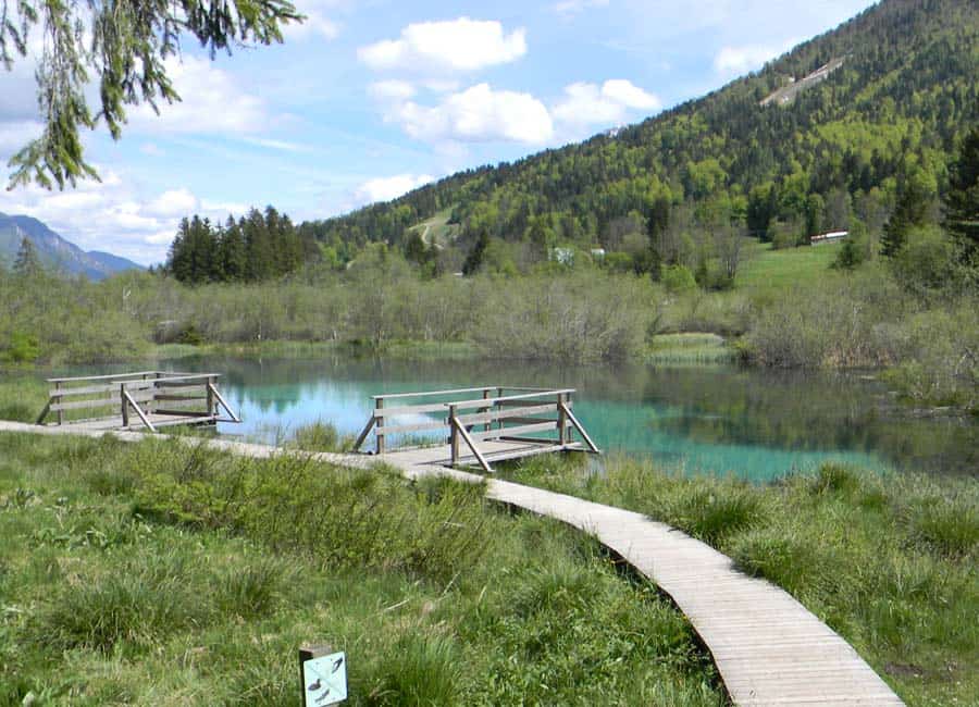 Izvir Save Dolinjke - Zelenci