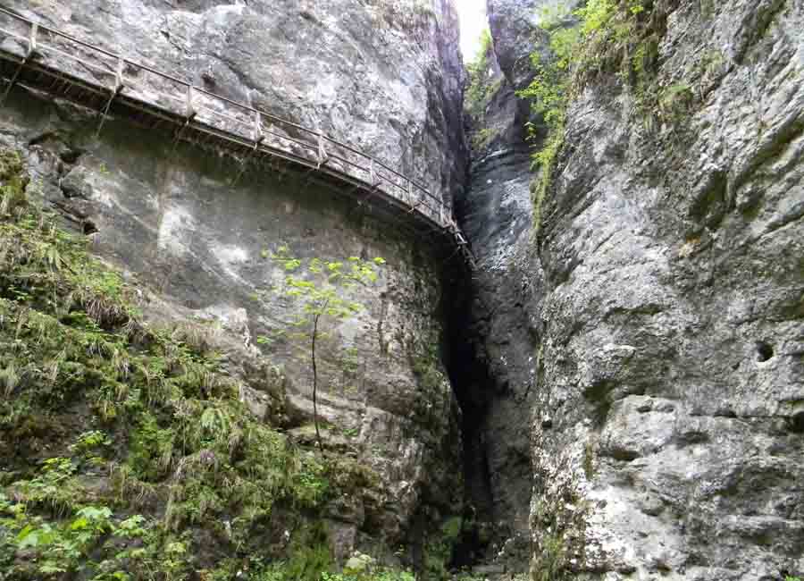 Just amaizing... Pokljuka gorge