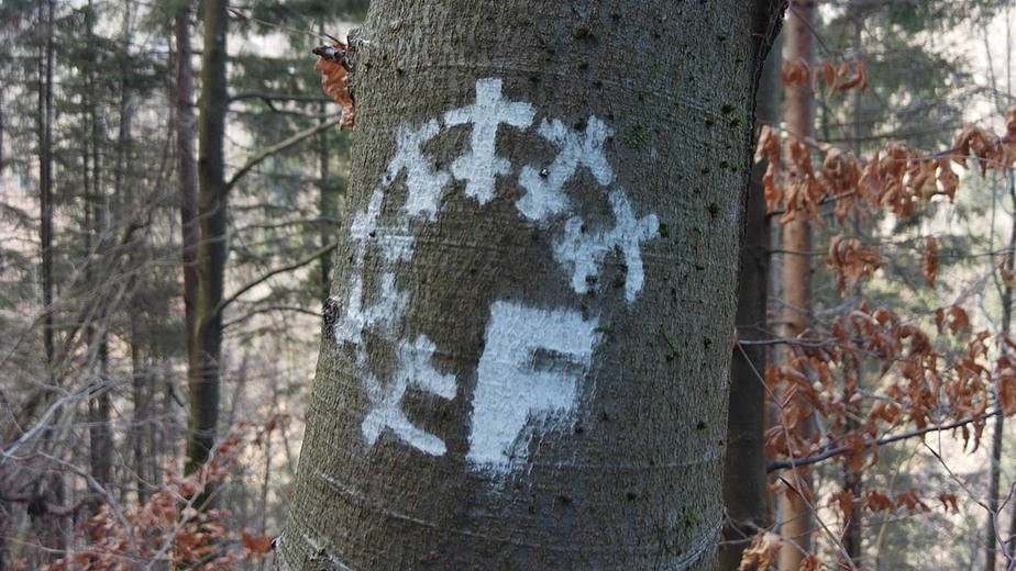 Idrijski Feldban