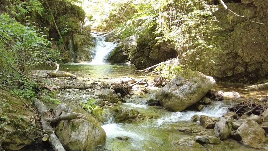Naravna koplišča v okolici Ljublanje