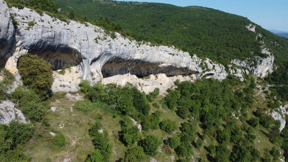 Ušesa Istre