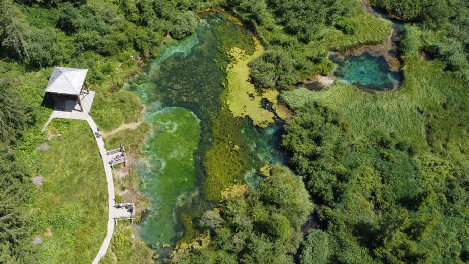 Zelenci