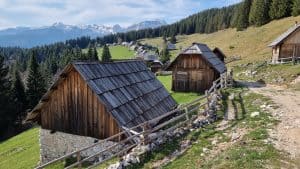 Planina Zajamniki