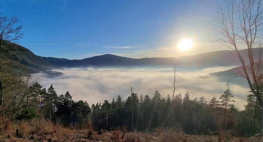Iški vintgar iz Borovnice | Rakitna