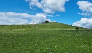 Slavnik iz Skadanščine
